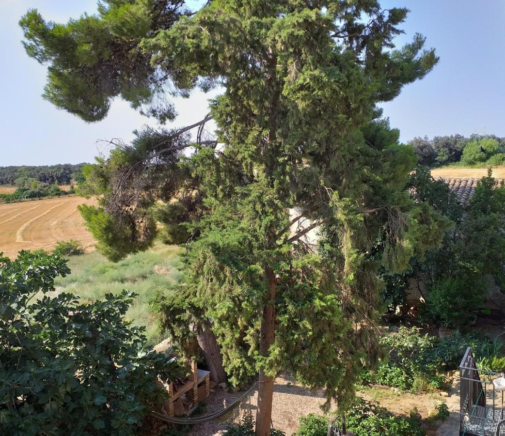 Casa Rural Boletas Loporzano المظهر الخارجي الصورة